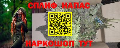 PSILOCYBIN Моздок