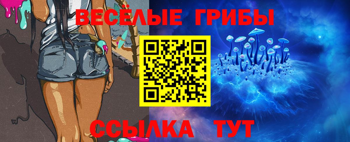 Псилоцибиновые грибы мухоморы Бийск