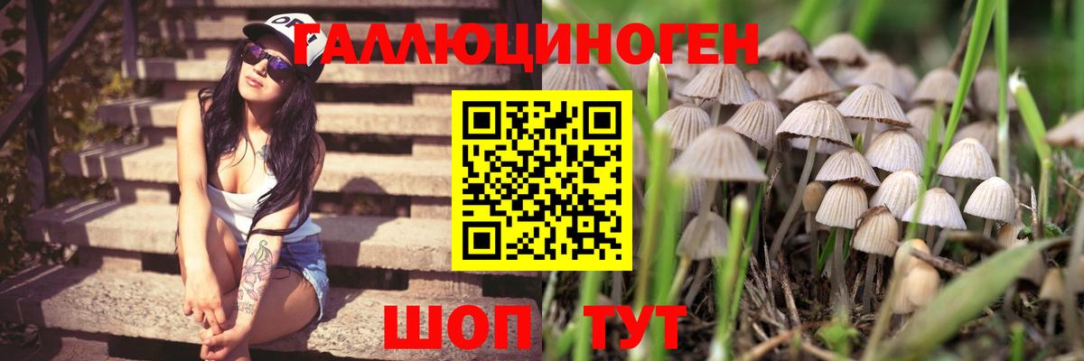 Бийск  Псилоцибиновые грибы ЛСД  где можно купить   Вход с VPN 